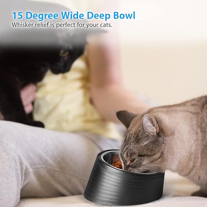 Tilted Slanted Dog Bowl 1 Cup, 15° Tilted Stainless Steel Dog Cat Food Bowl, Non-Slip & Non-Spill Pet Feeder with Elevated Detachable Melamine Stand, Easy to Get Food Dish, Medium Black