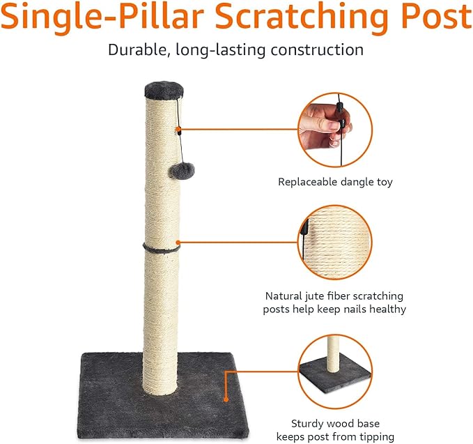 Amazon Basics Cat Scratcher - Indoor Classic Single Cat & Kittens Scratching Post, Medium (31.5"H) - Grey
