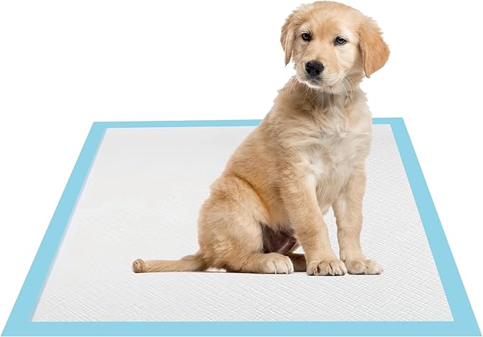 22x22 Dog Pee Pads 100 Count, Charcoal Puppy Pads, Super Absorbent Training Pads, 6-Layer Leak-Proof Puppy Training Pads for Dogs, Fast-Drying, Potty Training and Floor Protection