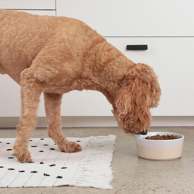 Waggo Dipper Ceramic Dog Bowl for Small and Large Breeds - Heavyweight and Durable Pet Food and Water Dish Crock, Dishwasher Safe, Modern (Small, Buttercream)