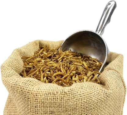 5Lb Chubby Dried Mealworms High Protein Treat for Chickens, Ducks & Birds