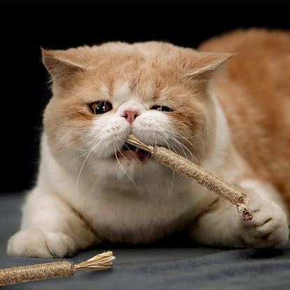 4 Pack Silvervine Sticks Cat Toys - Cat Chew Toy for Teeth Cleaning, Edible Matatabi Kitty Chew Sticks, Catnip Cat Toys for Indoor Cats