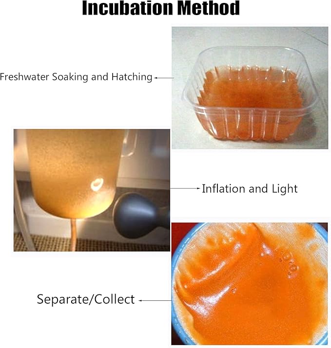 60G Brine Shrimp Shelling Eggfood Aquarium Hatching Tropic Fish Food for Feeding Baby Fishes Artemia Shelling Eggs