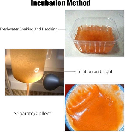 60G Brine Shrimp Shelling Eggfood Aquarium Hatching Tropic Fish Food for Feeding Baby Fishes Artemia Shelling Eggs