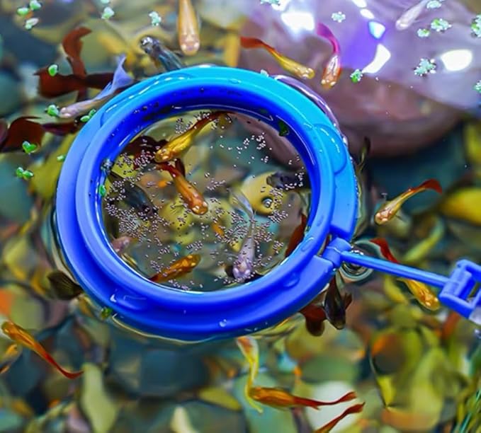 31.5Inch Long Coral Reef Grabber,Coral Feeder,Aquarium Veggie Feeder,Aquarium Food Clip Feeding(Long Reef Grabber and Coral Feeder Kits Never Rust), Blue