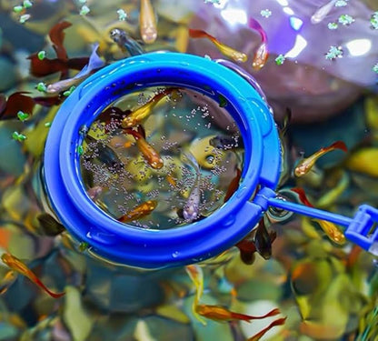 31.5Inch Long Coral Reef Grabber,Coral Feeder,Aquarium Veggie Feeder,Aquarium Food Clip Feeding(Long Reef Grabber and Coral Feeder Kits Never Rust), Blue