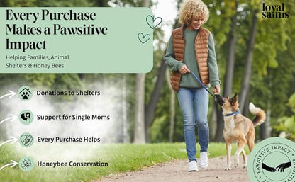 Freeze Dried Raw Dog Food - Premium Beef Flavor with High Protein and Grain Free Dog Food for Small or Large Breeds and Picky Eaters - Versatile as Meal Topper, Snack, and Treats, 14 Oz