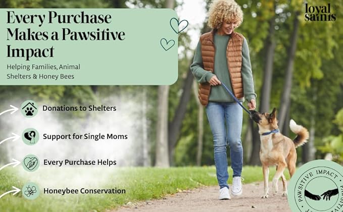 Freeze Dried Raw Dog Food - Premium Beef Flavor with High Protein and Grain Free Dog Food for Small or Large Breeds and Picky Eaters - Versatile as Meal Topper, Snack, and Treats, 5 Oz