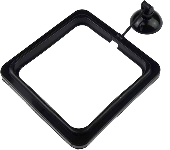 6 Pack Aquarium Fish Feeding Ring Floating Food Feeder, Square Shape with Suction Cup, Black