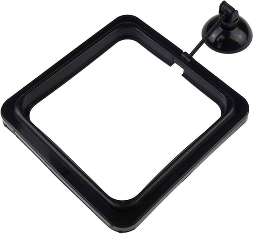 6 Pack Aquarium Fish Feeding Ring Floating Food Feeder, Square Shape with Suction Cup, Black