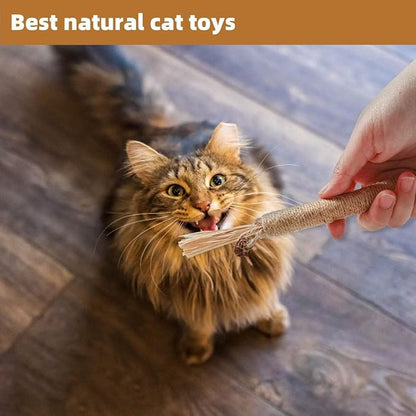 4 Pack Silvervine Sticks Cat Toys - Cat Chew Toy for Teeth Cleaning, Edible Matatabi Kitty Chew Sticks, Catnip Cat Toys for Indoor Cats