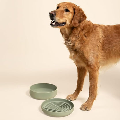 The Perfect Dish No-Spill Dog Water Bowl, Less Mess Non-Tippable Water & Food Bowl, Pure Silicone with Suction Cup, Fits 8 Cups 9.5" Across x 2.5" Tall Ideal for All Pets, Large-Sage