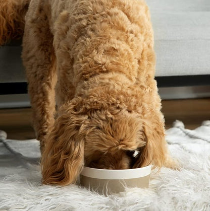 Waggo Dipper Ceramic Dog Bowl for Small and Large Breeds - Heavyweight and Durable Pet Food and Water Dish Crock, Dishwasher Safe, Modern (Mauve, Small)