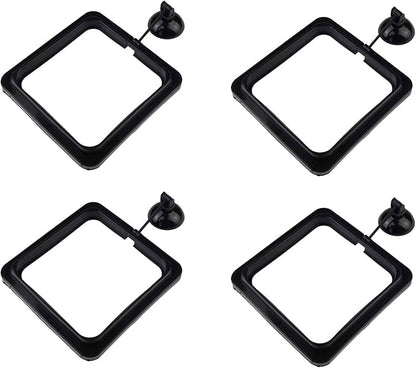 4 Pack Aquarium Fish Feeding Ring Floating Food Feeder, Square Shape with Suction Cup, Black