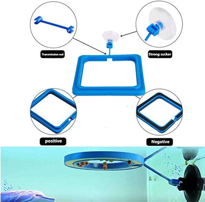 2 Pcs Fish Feeding Ring, Fish Safe Floating Food Feeder Circle Blue, with Suction Cup Easy to Install Aquarium, Square and Round Shape Fish Tank Towels - for Guppy, Betta, Goldfish, Etc. (Blue)¡­