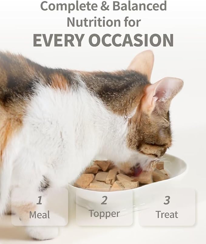 Freeze-Dried Raw Cat Food, 97% Animal Origin Dry Food for Cat, High Protein Treat & Topper (Chicken & Duck - 14 Ounce)
