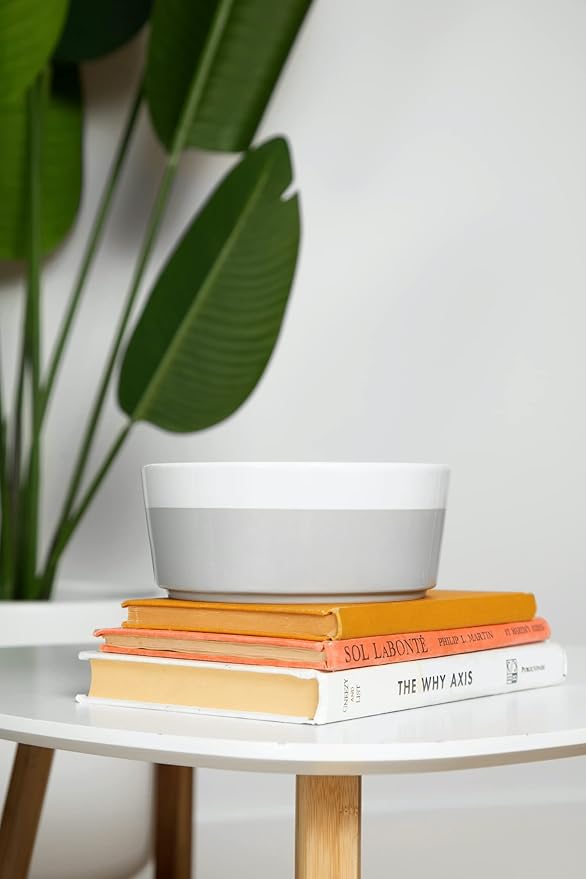 Waggo Dipper Ceramic Dog Bowl for Small and Large Breeds - Heavyweight and Durable Pet Food and Water Dish Crock, Dishwasher Safe, Modern (Mint, Medium)