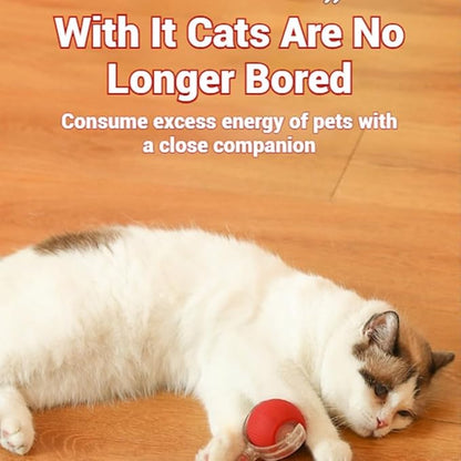 Tiny Fetch Dog Toy, Tinyfetch Interactive Dog Cat Toys Balls with Birdsong, 360° Smart Automatic Rolling Electric Dog Ball Toy, Fast Moving Balls Toys for Pets (red)