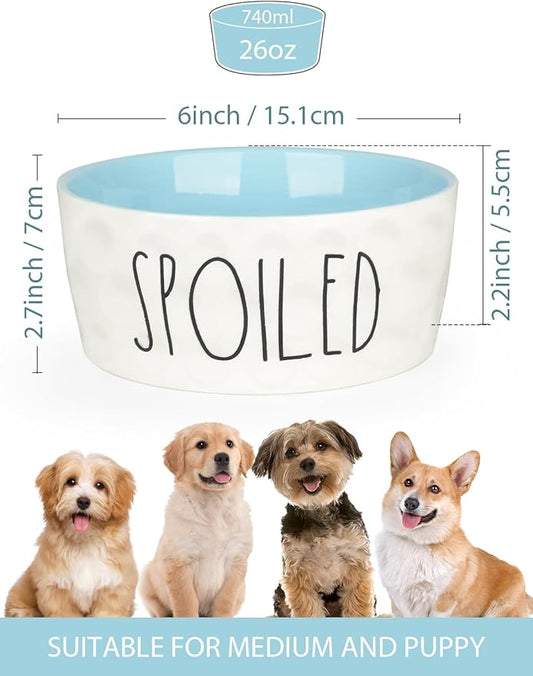 27OZ Ceramic Dog Bowl - 6 Inch Small Food Water Bowl, Heavy Duty Non-Slip Dog Dish for Medium Dogs, Food Grade Porcelain Pet Feeder Bowls, Microwave & Dishwasher Safe, Blue