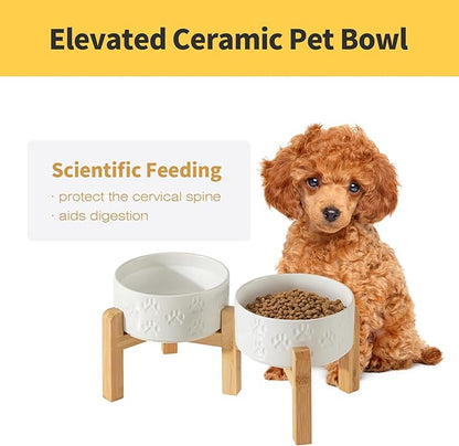 6" Raised Ceramic Dog Bowl Set, Reversible 2-Bowl Dog Stand with Dual Fixed Heights, 3.5 Cups, Elevated Food and Water Bowls for Small Breed Dogs, Microwave safe (Double Bowls + Stand - White, 6 inch)