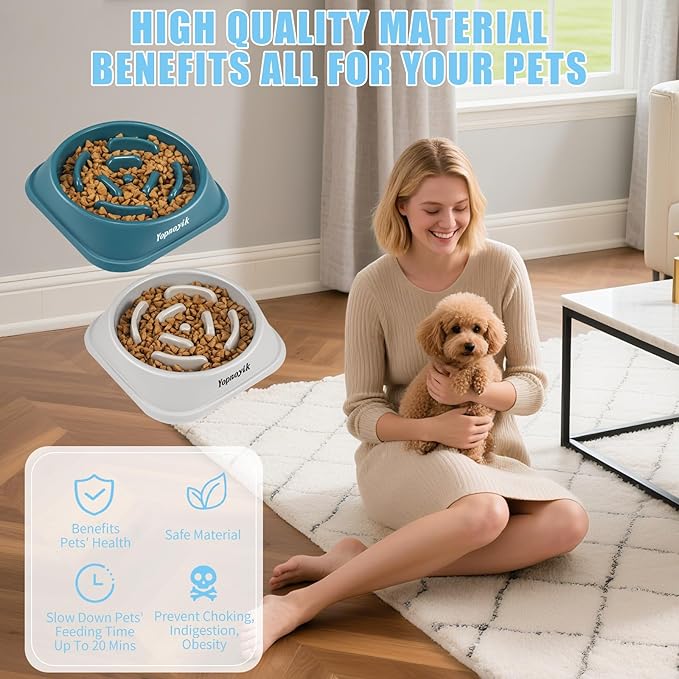 2 Pack Slow Feeder Dog Bowls for Healthy Eating, Non-Slip and Anti-Choking Design, Reduces Bloating & Overeating for Small Dogs, Easy to Clean
