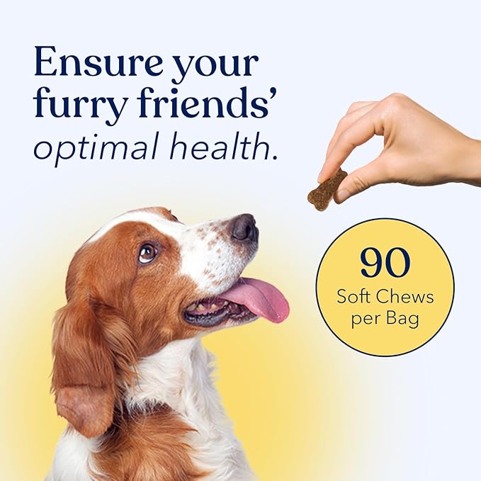 Honest Paws (90 Count) Dog Multivitamin Soft Chews with 10 Essential Vitamins - Joint, Coat, Immune, Eye & Heart Support - with Glucosamine, Chondroitin & Omega-3 - Beef Flavor