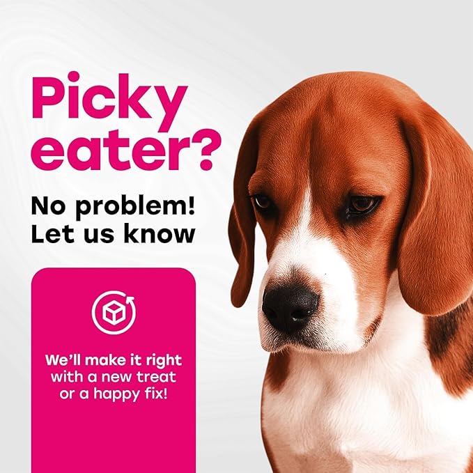 24-in-1 Complete Multivitamin Treats for Dogs - PhD Endorsed 8 Vitamins, Biotin, Probiotics, Glucosamine - Daily Wellness, Immunity, Skin & Coat, Mobility 140 Treats - Bacon Flavor - Made in USA