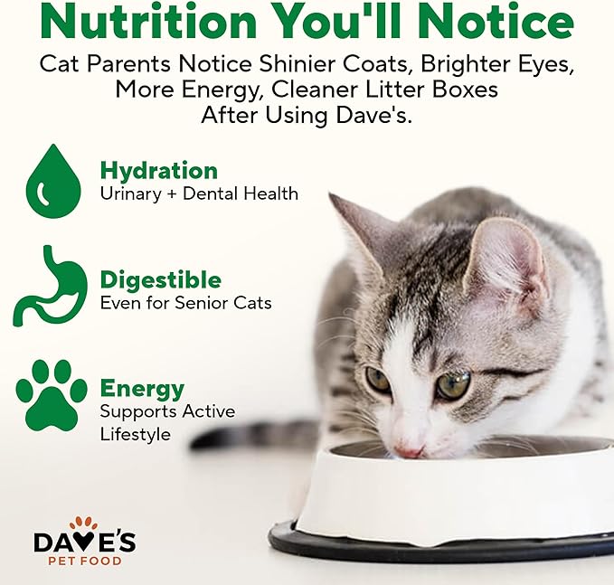 Dave's Pet Food Grain Free Wet Cat Food Pate (Chicken Formula), Made in USA Naturally Healthy Canned, Added Vitamins & Minerals, 5.5 oz Cans (24 Pack)