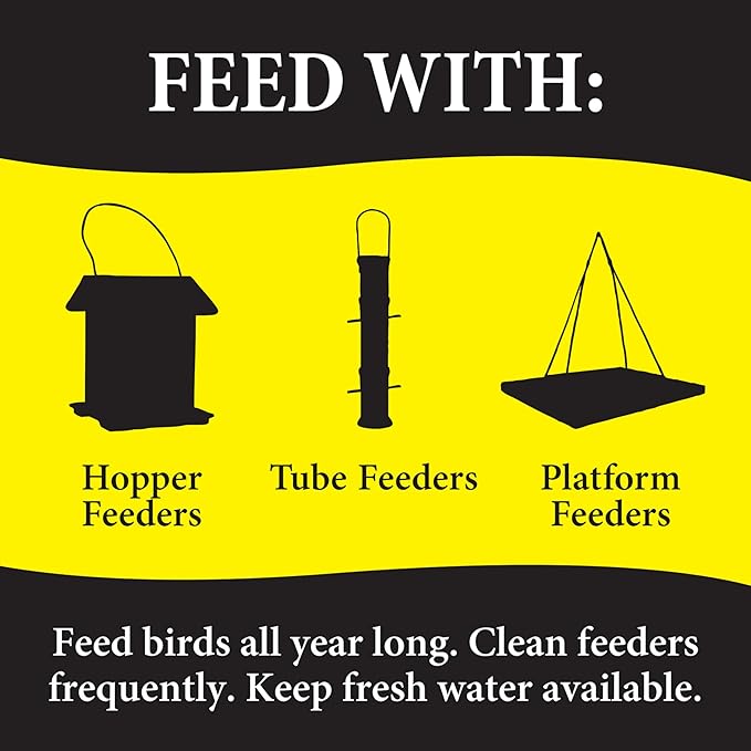 Wild Delight 099127 Bugs N' Berries Wild Bird Food, 4.5 lb