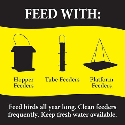 Wild Delight Advanced Formula Bugs N Berries Wild Bird Food 14 lbs