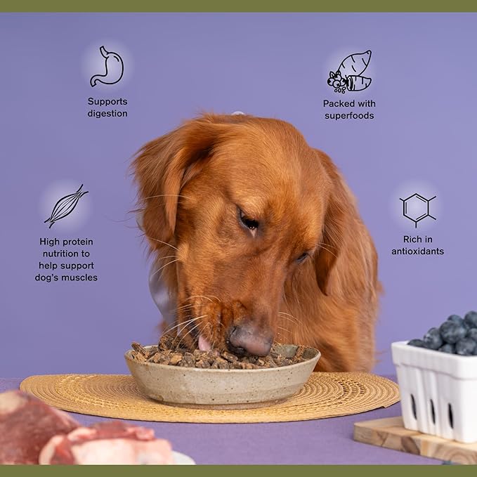 Superfood Complete, Air-Dried Adult Dog Food - High Protein, Zero Fillers, Superfood Nutrition by Katherine Heigl (64 oz, Beef & Bison Formula)