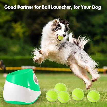 12 Pack Mini Tennis Ball for Pet Playing Fecth, 2 inch Dog Training Tennis Balls for Small Size Dogs, Interactive Dogs Playing Balls Fits 2 inch Automatic Dog Ball Launcher