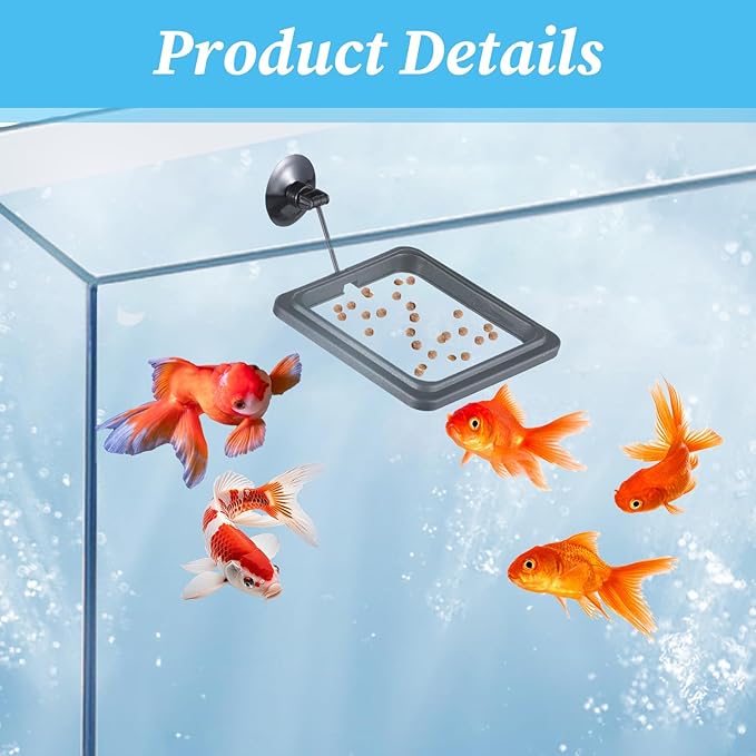 2 Pcs Fish Feeding Feeder Square Betta Feeding Ring Floating Food Feeder with Suction Cup Aquarium Accessories for Goldfish Guppy Small Fish
