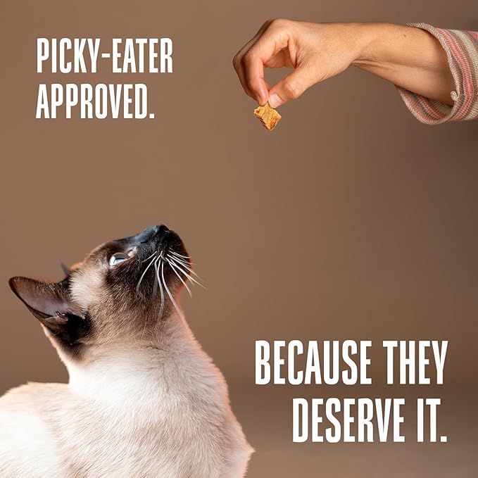 Whole Life Pet Just One Salmon - Cat Treat Or Topper - Human Grade, Freeze Dried, One Ingredient - Protein Rich, Grain Free, Made in The USA (Pack of 2)