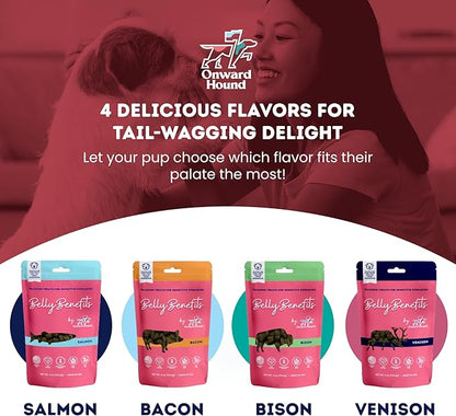 Training Treats for Dogs - Soft Bacon - Low Calorie Dog Training Treats for Sensitive Stomachs with Single Source Premium Protein, Corn Free, & Soy Free Formula - 10 oz