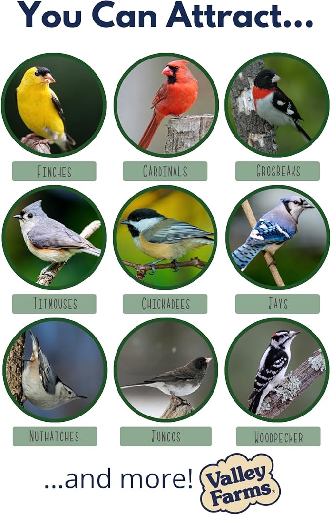 Valley Farms Super Deluxe Wild Bird Food 4 LBS (Pack of 2) for Outside feeders - 0% fillers - w/Sunflower Seed -Peanut kernels -Feed More Birds w/Less Seed