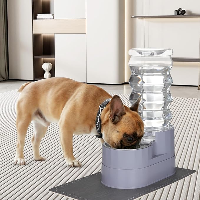 RIZZARI Large Water Dispenser for Dogs: 8L Gravity Gray Automatic Stainless Steel Waterer - 100% BPA Free - Raised Pet Feeder for Pet Dogs Indoor/Outdoor