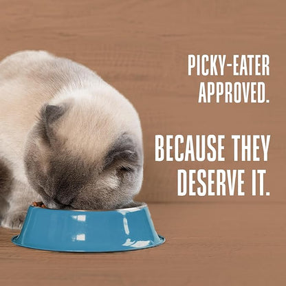 Whole Life Pet Healthy Skin and Coat Cat Supplements for Dry Skin, Allergy & Stomach Relief, Cat Immune & Digestive Support - Probiotics & Omega 3 for Cats, Cat Food Add Ins - 30-Day Supply