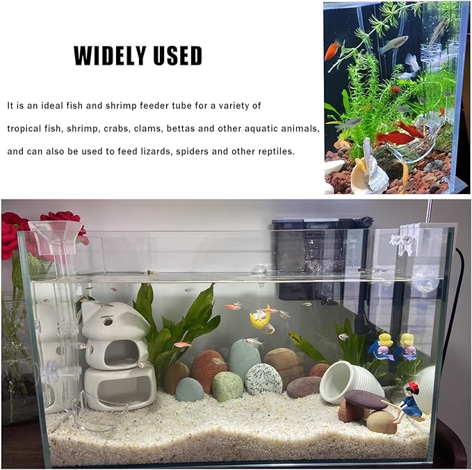 Aquarium Fish Shrimp Feeding Dish Set, Transparent Shrimp Feeding Tube, Fish Tank Feeding Supplies with Feeding Ring Cleaning Brush