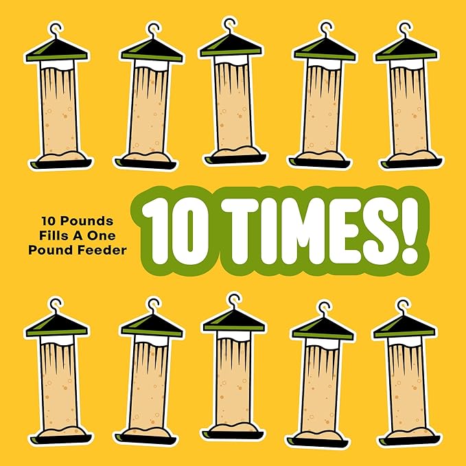 All Birds Wild Bird Seed – 10 lb. Classic Blend with Black Oil Sunflower, White Millet, Safflower, Peanuts & Sunflower Hearts – Balanced Bird Food for Outside Feeders