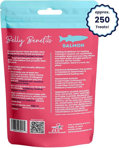 Training Treats for Dogs - Soft Salmon - Low Calorie Dog Training Treats for Sensitive Stomachs with Single Source Premium Protein, Corn Free, & Soy Free Formula - 10 oz