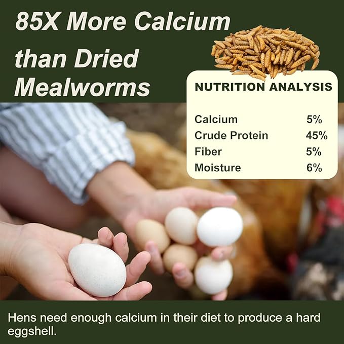 Adaman Dried Black Soldier Fly Larvae 10 LBS-100% Natural Non-GMO BSF Larvae-More Calcium Than Dried Mealworms High-Protein Chickens Treats, Food for Wild Birds, Ducks, Layer Hens