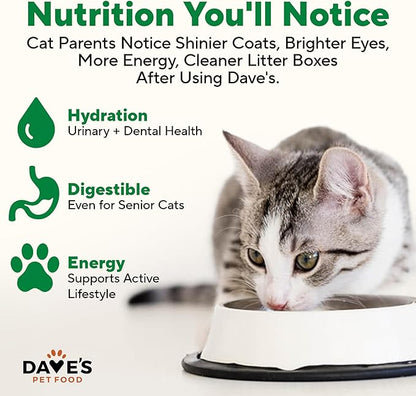 Dave's Pet Food Grain Free Wet Cat Food Pate (Chicken), Made in USA Naturally Healthy, Economy Size, Multi-Cat Families, Canned, 22 oz Cans (12 Pack)