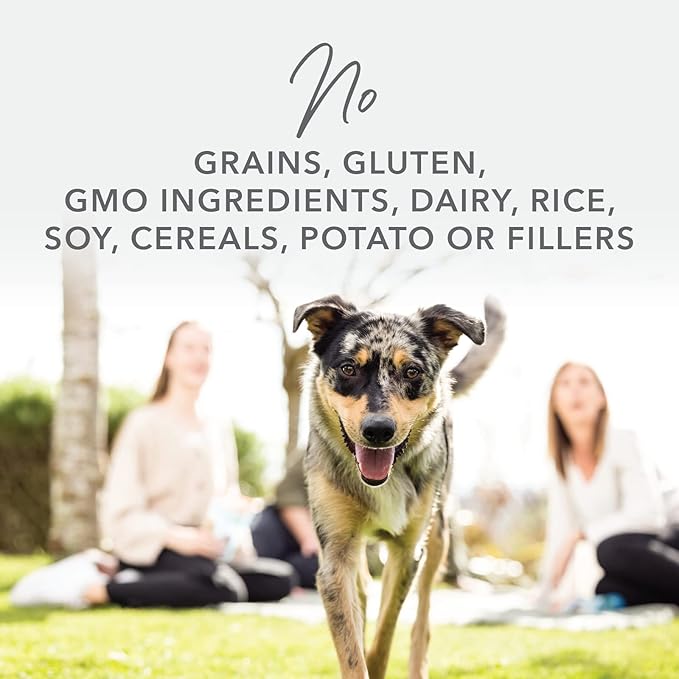 K9 Natural Grain-Free Freeze-Dried Dog Food Chicken 1.1lb