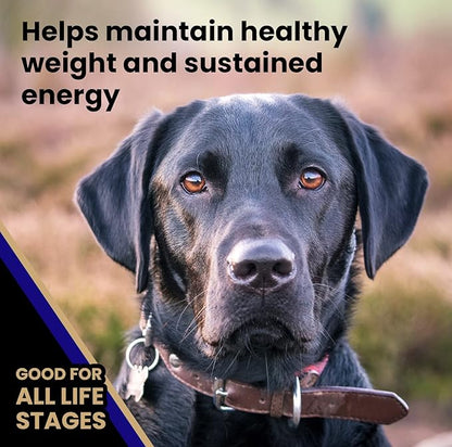 VICTOR Super Premium Dog Food – Select Beef Meal & Brown Rice Formula for Immune and Gut Health – Gluten-Free Beef Meal Dry Dog Food for All Normally Active Dogs of All Life Stages, 40 lbs