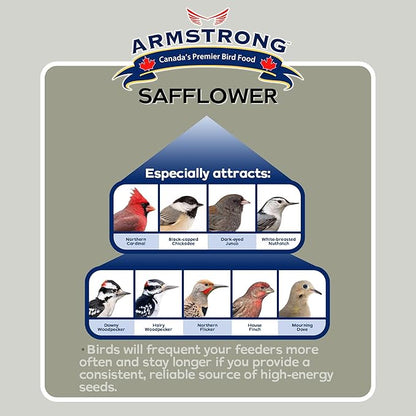 Armstrong Wild Bird Food Safflower Bird Seed, 20 Pounds - for Northern Cardinals, Rose-Breasted Grosbeaks and Black-Capped Chickadees - Ideal for Outside Feeders