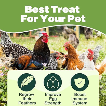 20LB Dried Black Soldier Fly Larvae, 86X Calcium Than Dried Mealworms, High Protein Non-GMO Organic Chicken Feed