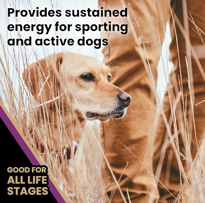 VICTOR Super Premium Dog Food – Professional Dry Dog Food – Super Premium Kibble with 26% Protein – Gluten-Free with Beef, Chicken & Pork Meals – for High Energy and Active Dogs & Puppies, 40lbs