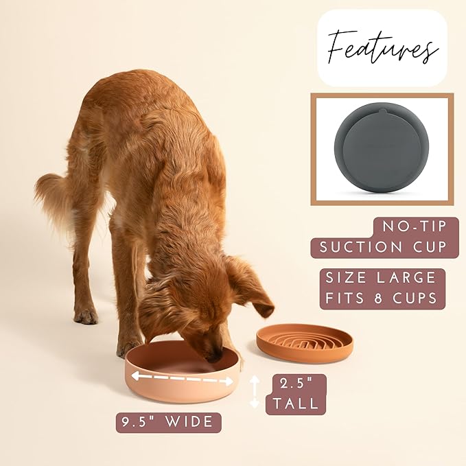 The Perfect Dish No-Spill Dog Water Bowl, Less Mess Non-Tippable Water & Food Bowl, Pure Silicone with Suction Cup, Fits 8 Cups 9.5" Across x 2.5" Tall, Ideal for All Pets, Large-Spruce