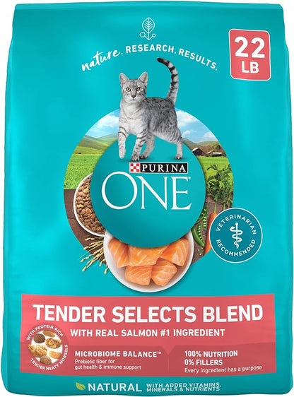 Purina ONE Natural Dry Cat Food, Tender Selects Blend with Real Salmon - 22 lb. Bag